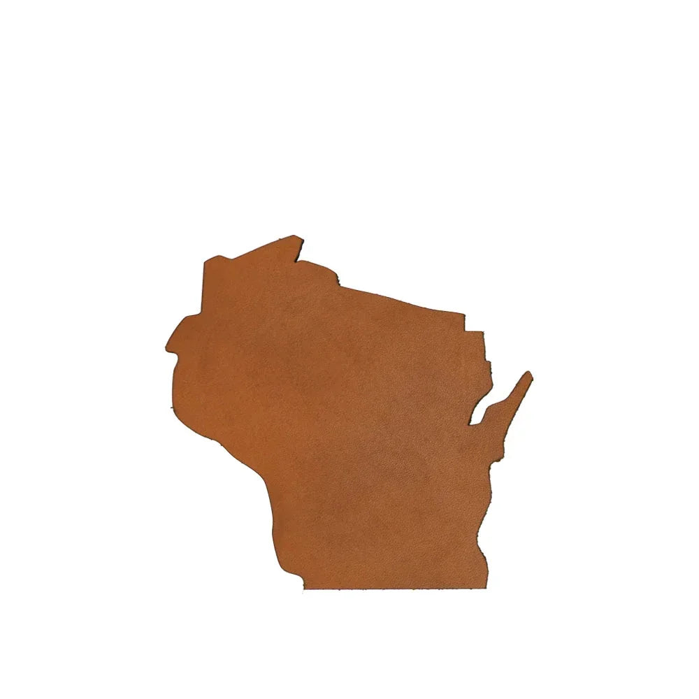 Brown silhouette of the state of Wisconsin on a white background