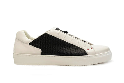 Divine Low Top Sneaker - Final Sale - Image 2
